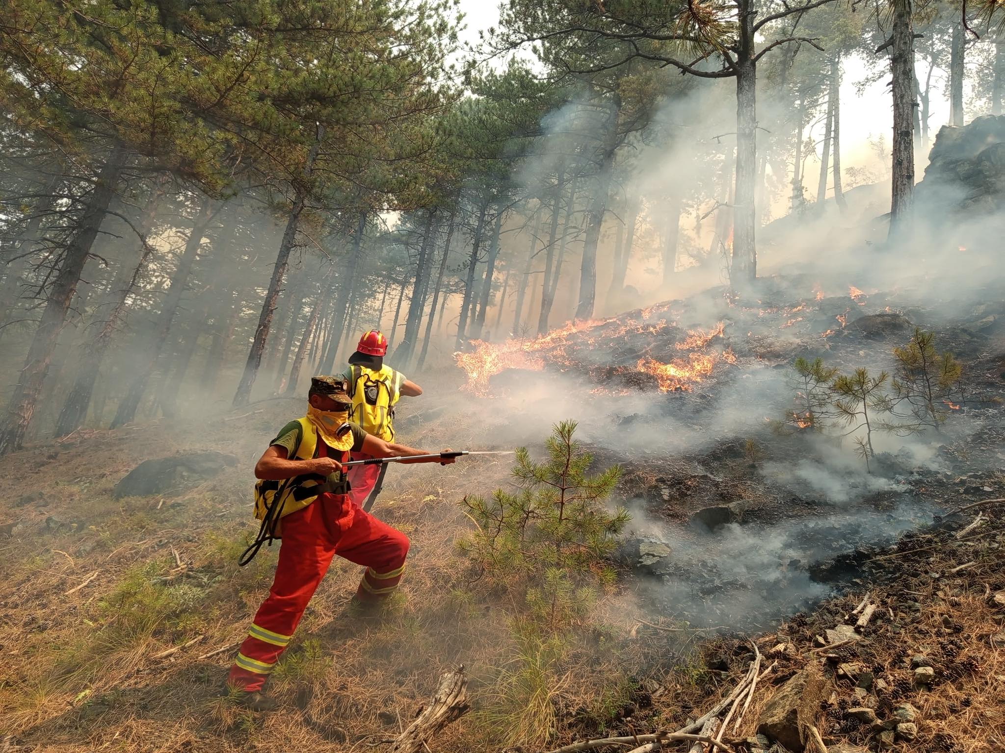 Пожарите во Албанија предизвикаа најмалку милион евра штета ...